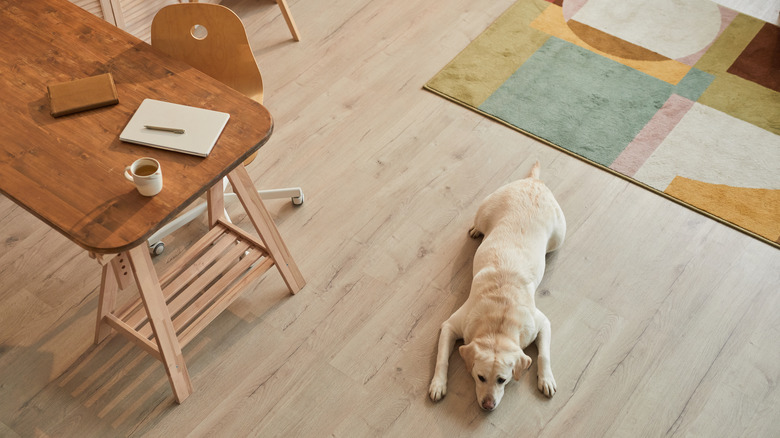a hardwood floor