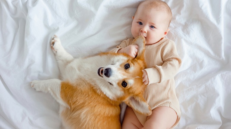 dog cuddling with baby in bed