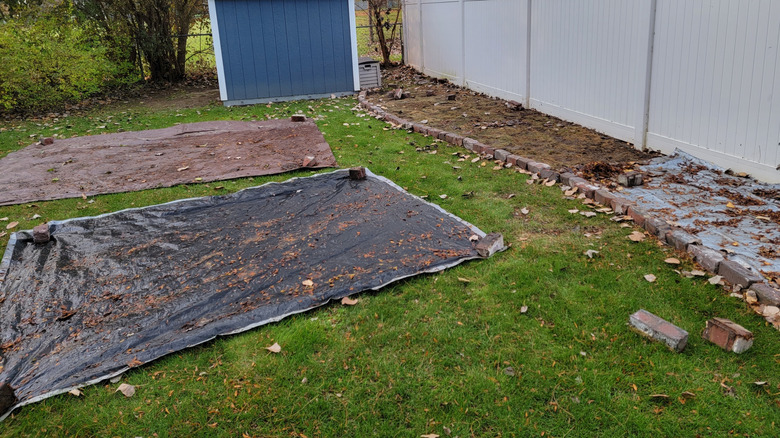 Black tarp laying over a somewhat messy lawn