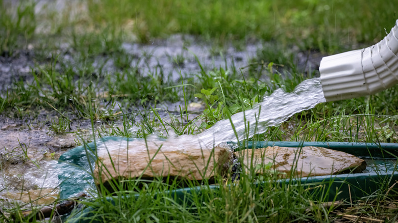 Gutter downspout without an extension causing standing water