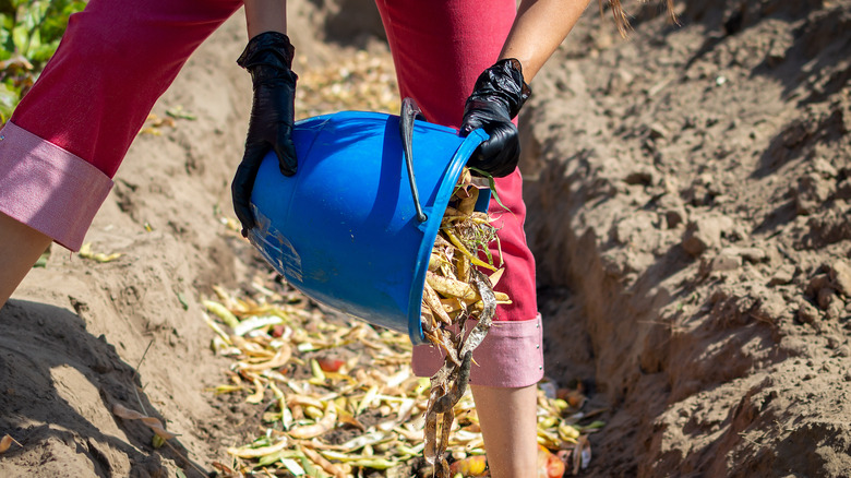 Compost poured into trench