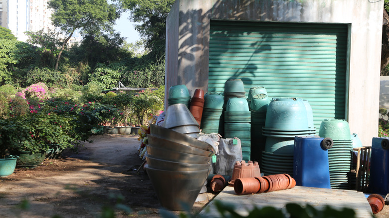 A cluttered garden area