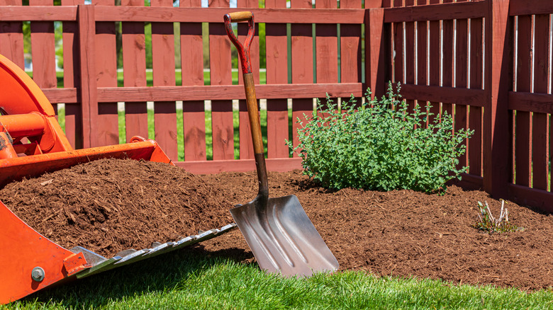 mulch in lawn shovel