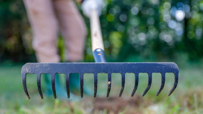 A woman is holding a rake used to rake leaves