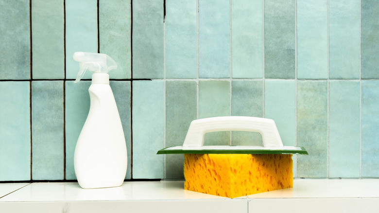 Cleaning supplies by shower tile
