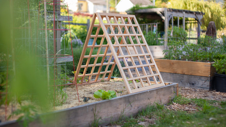 An empty trellis in a raised garden bed