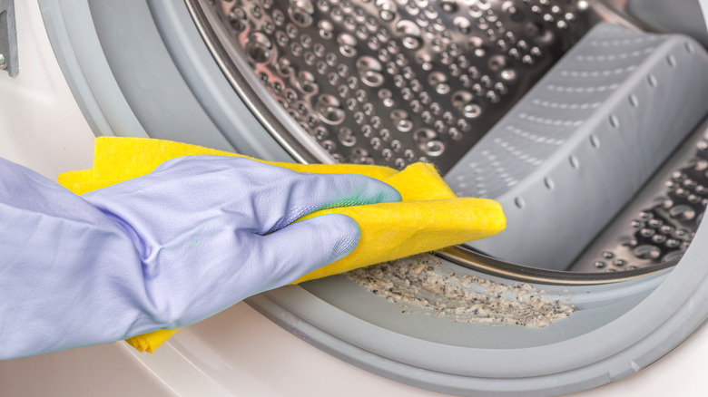person cleaning washing machine