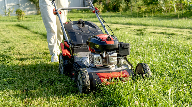 A woman with a lawn mower cutting long grass