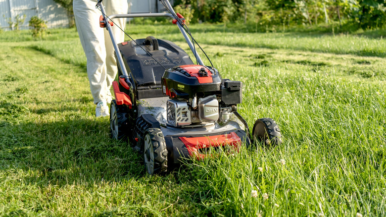 Person mowing lawn on a sunny day