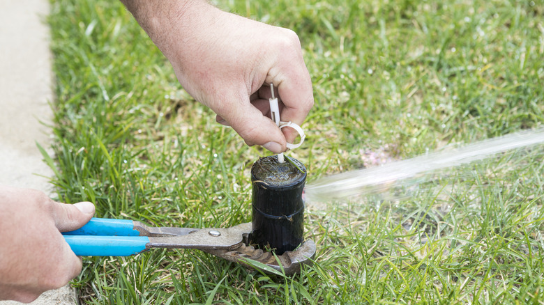 adjusting a sprinkler head
