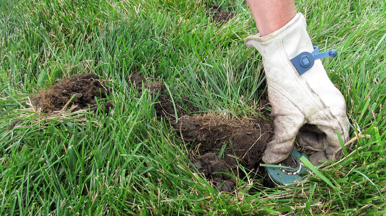 installing a sprinkler head