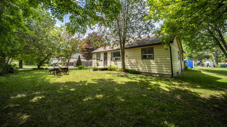 Yellow siding bungalow in a green suburban yard, shaded by vibrant trees
