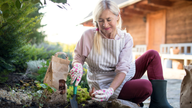 A gardener planting flower bulb in her yard