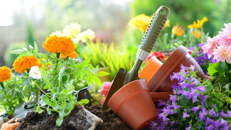 A garden, shovel, and pot