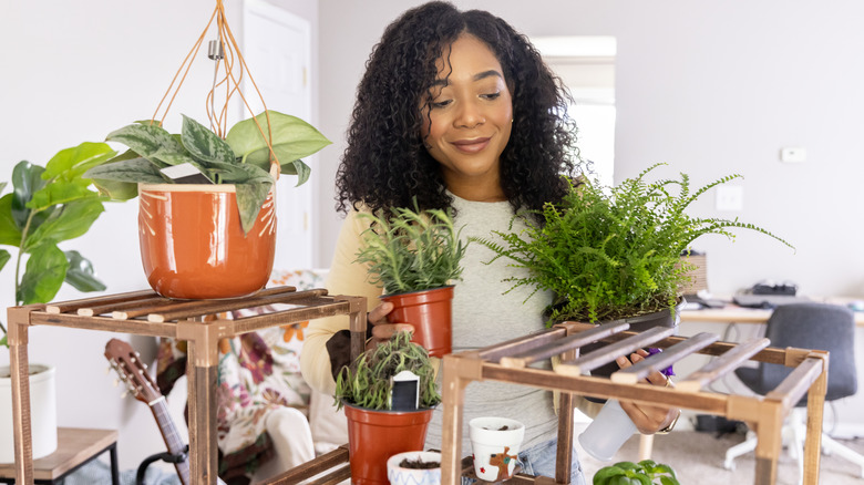Woman placing houseplants on tiered shelves in a living area.