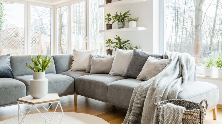 A living room with a gray couch, various pillows, and shelving with potted plants
