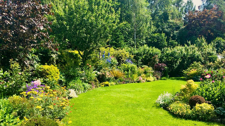 A vibrant garden with a border full of shrubs, flowers, and trees