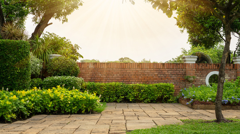 A well-manicured yard full of lush plants