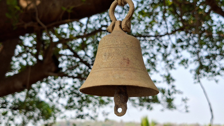 Rustic bell hangs from tree