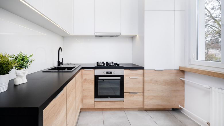 A clutter-free, modern kitchen with a plant on the counter