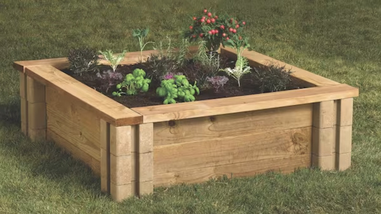 Raised garden bed made from blocks and wood boards