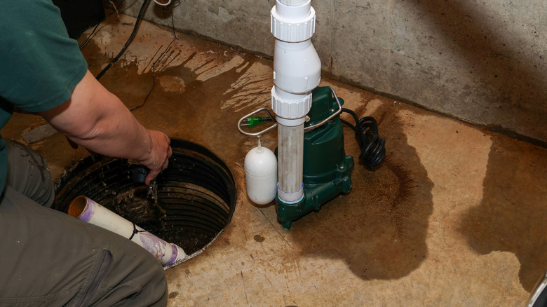 Someone cleaning sump pump