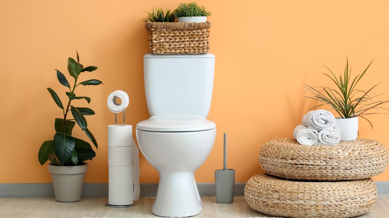 Interior of restroom with toilet bowl, poufs and plants near orange wall.