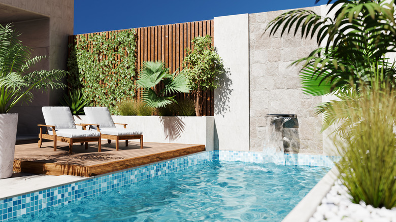 A small pool in a backyard with plants