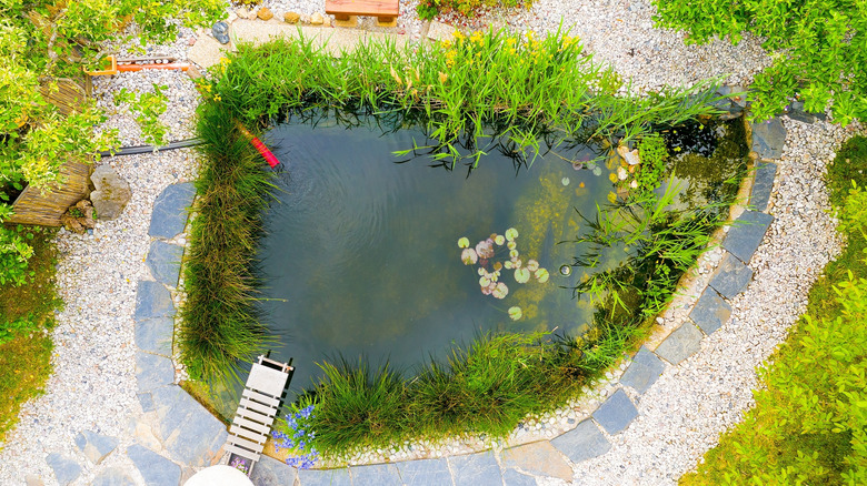Overhead shot of a bio-pool
