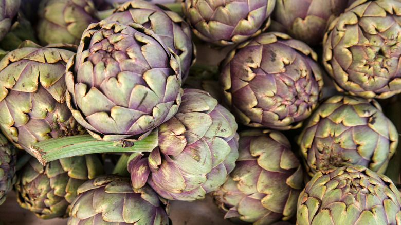 harvested artichokes with purple and green petals in pile