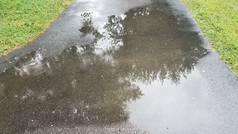 An asphalt driveway with pooling water
