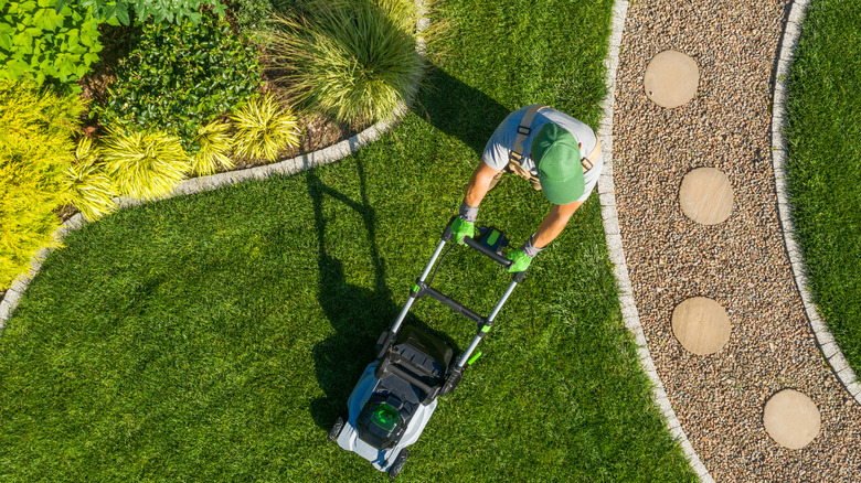 Person mowing a small lawn area