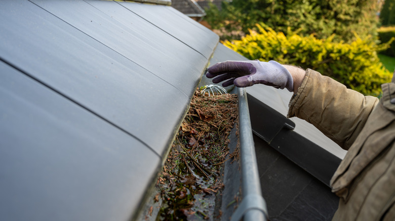 Hand cleaning a blocked and clogged rain gutter