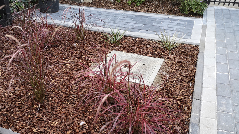 Bark chips being added in a landscaping area