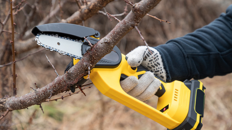 Hand holding a small chainsaw to trim branches and limbs of a tree