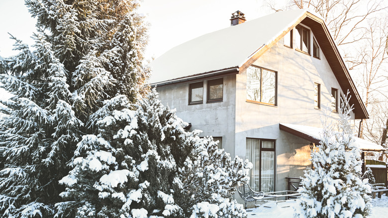 a home exterior in the winter with snow covered roof and trees