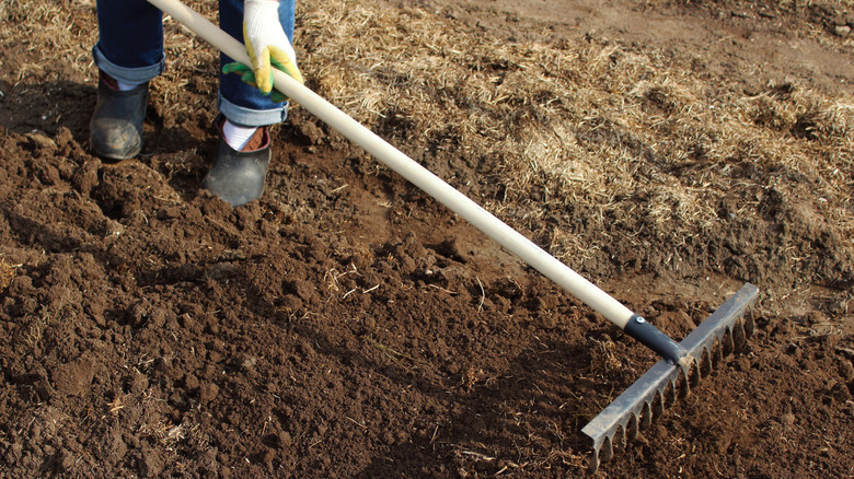 Person spreading topdressing in garden bed