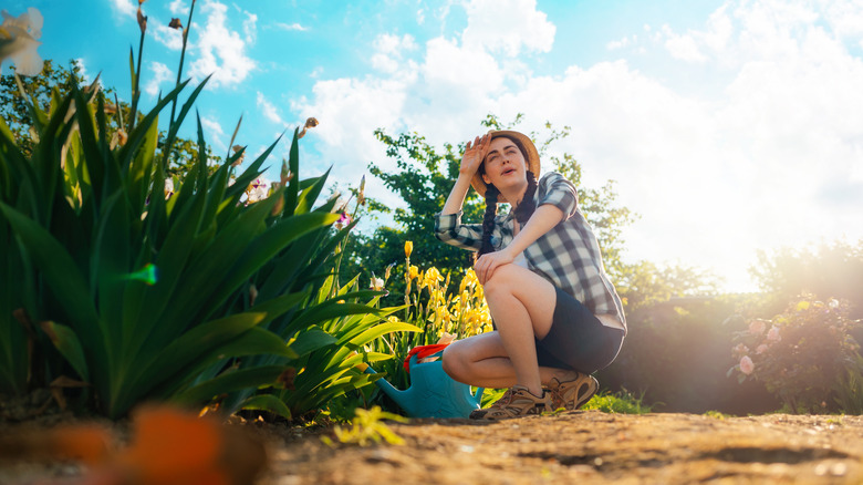 woman gardening on hot sunny day