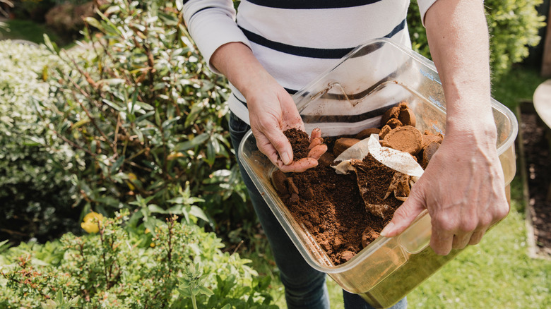 A person spreading coffee grounds in a garden space