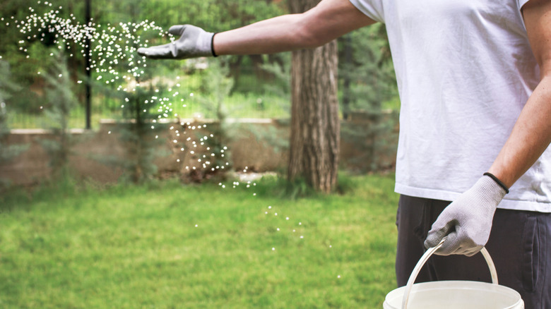 A person wearing gloves throws granular fertilizer on a lawn in their backyard.