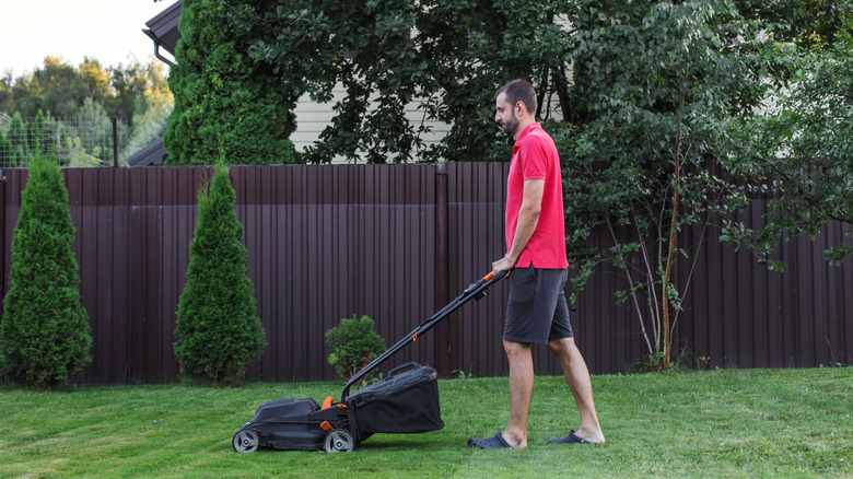 Person mowing their lawn in shorts and a red shirt.