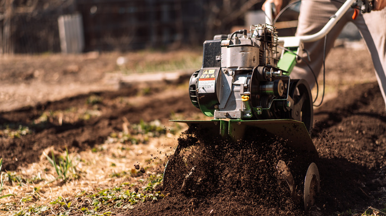 A person pushes a tilling machine in a garden.