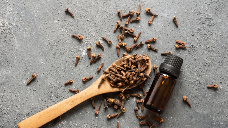 Clove essential oil