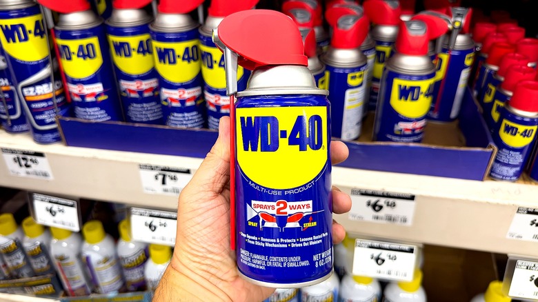 A person holding a can of WD-40 in a store