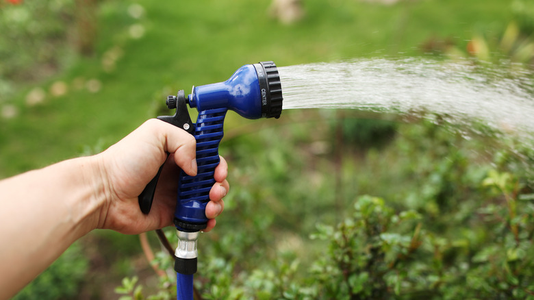 hose running on grass