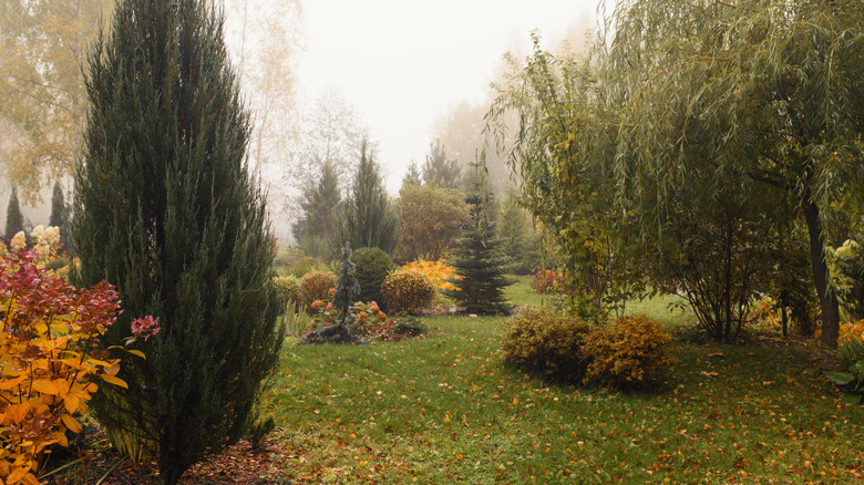 A garden in the fall with different plants, trees, and shrubs