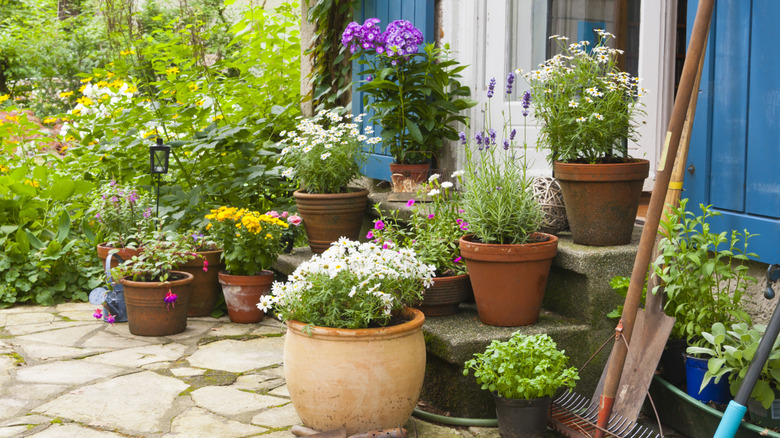 A patio filled with potted plants