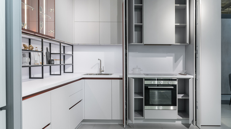 luxury kitchen with built in appliances