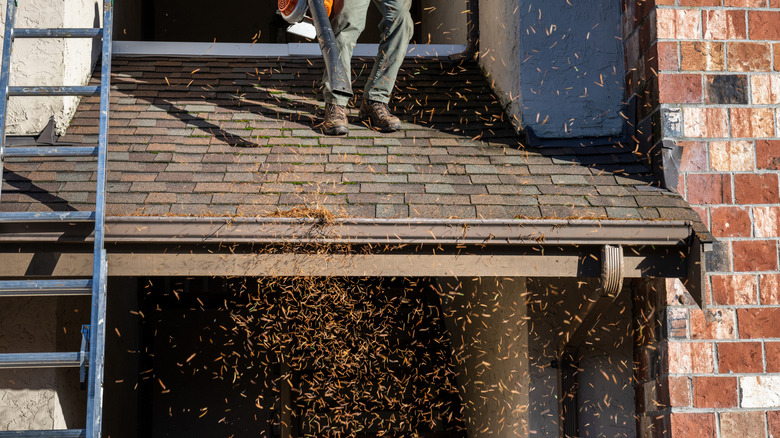 Using leaf blower to a clean roof