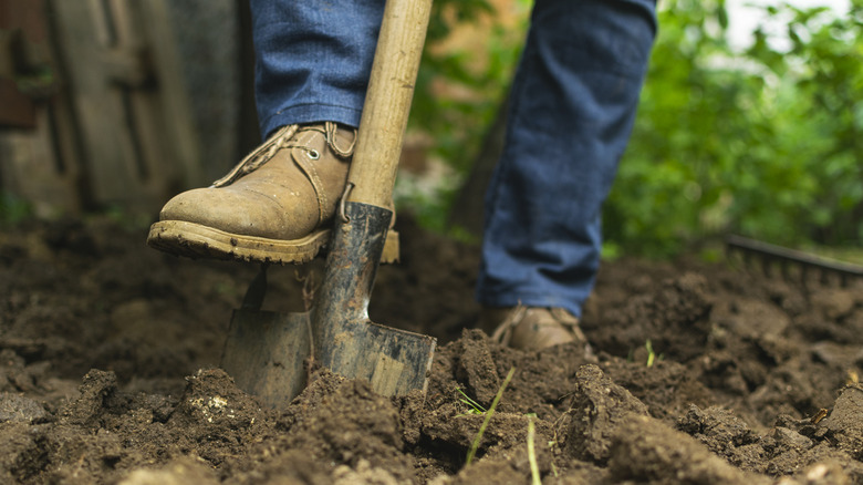 Gardener digging in the soil to prepare it for planting
